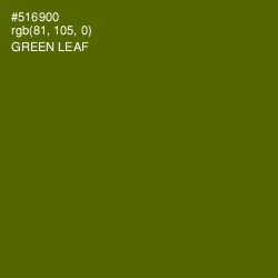 #516900 - Green Leaf Color Image